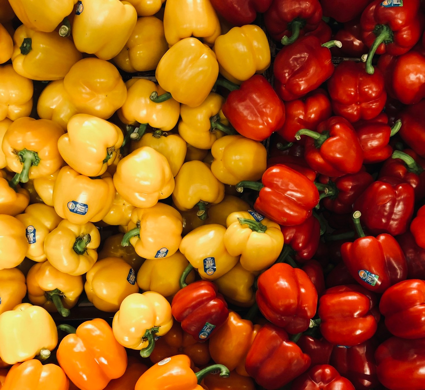 De beste tips voor een bloeiende moestuin